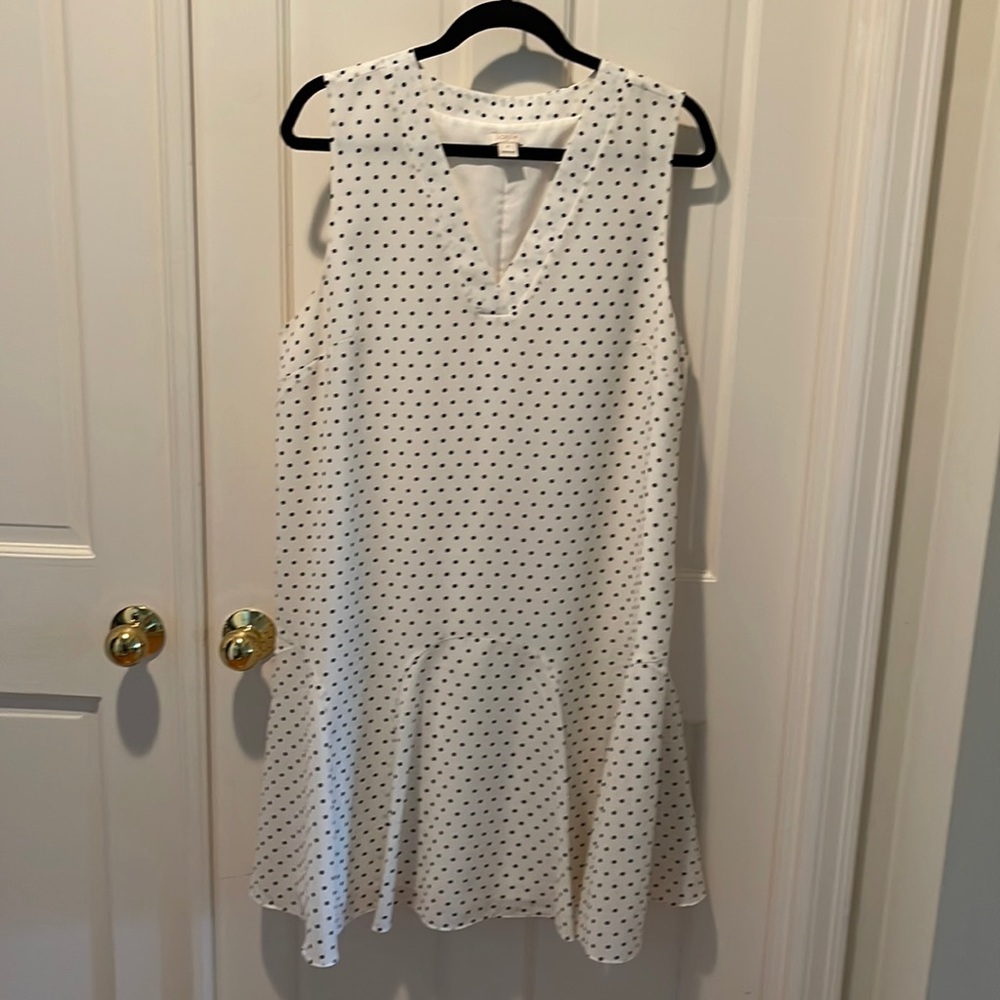 J Crew Polka Dot Dress
